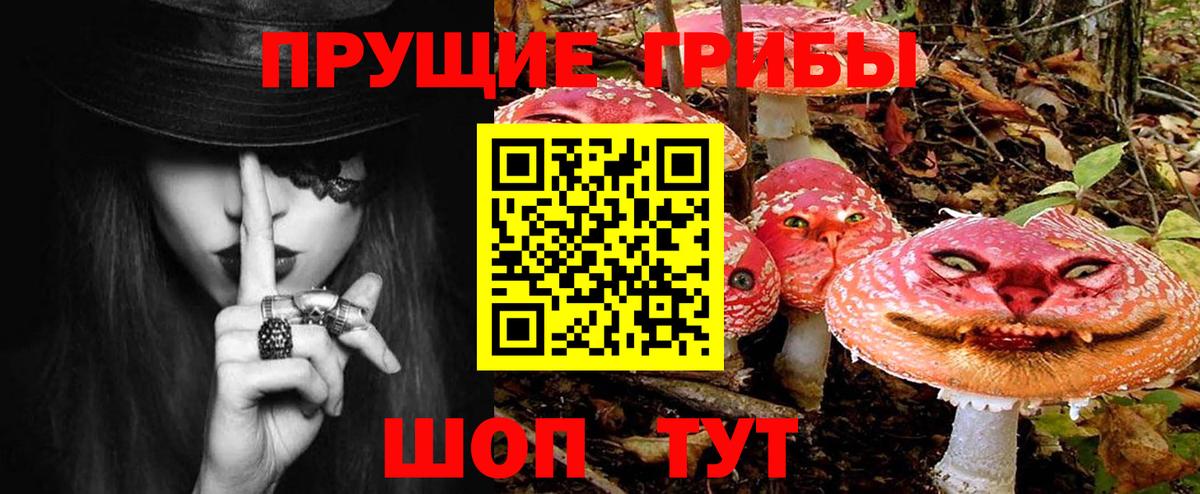 Ливны  Псилоцибиновые грибы прущие грибы  Псилоцибиновые грибы прущие грибы  Вход с VPN 